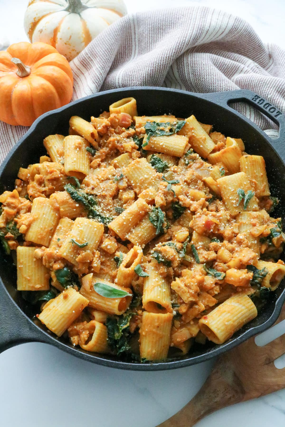 creamy pumpkin pasta