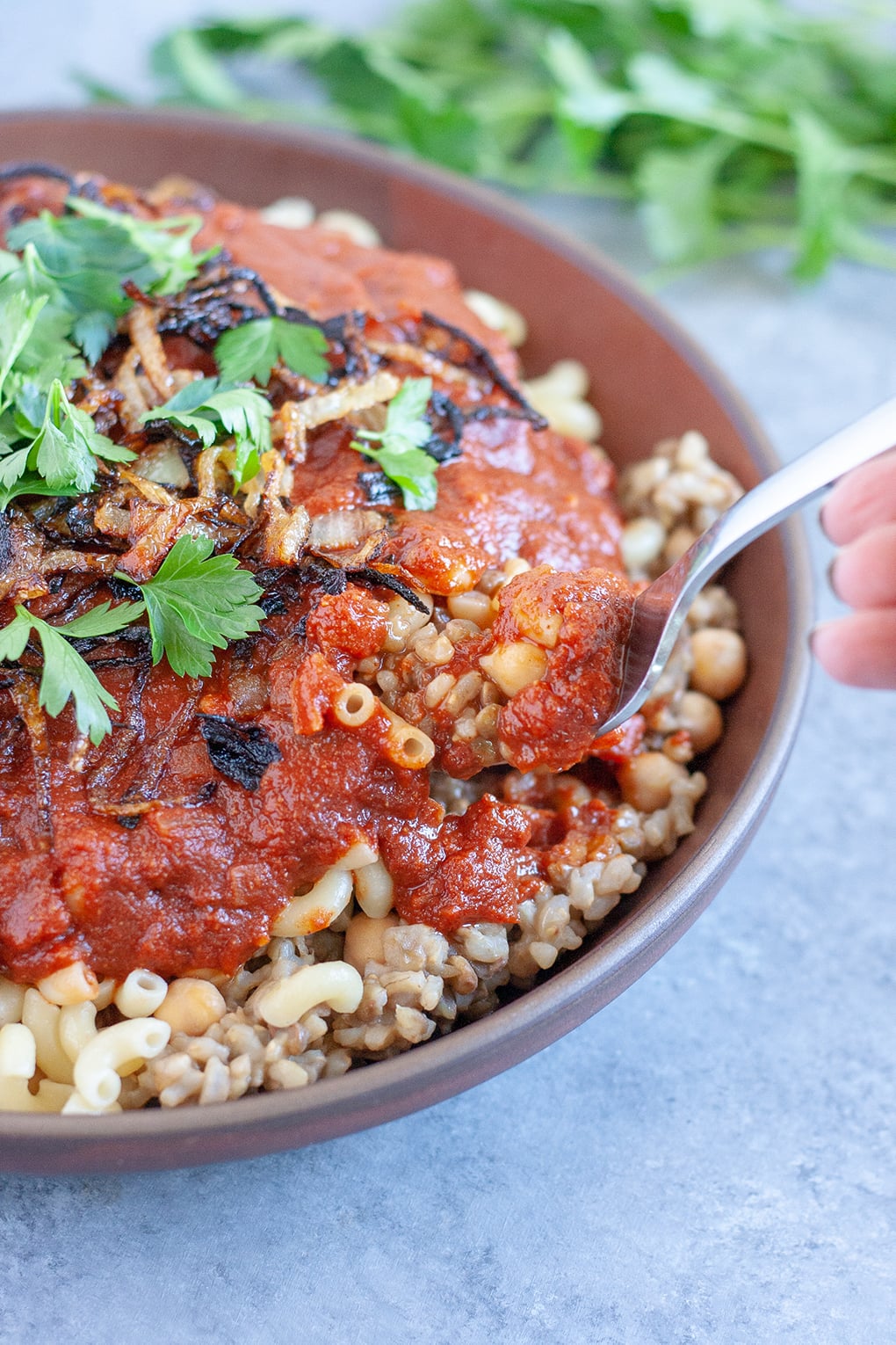 koshari instant pot