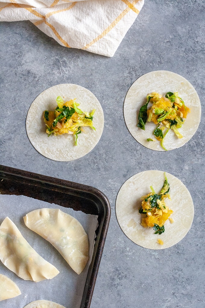 vegan potstickers