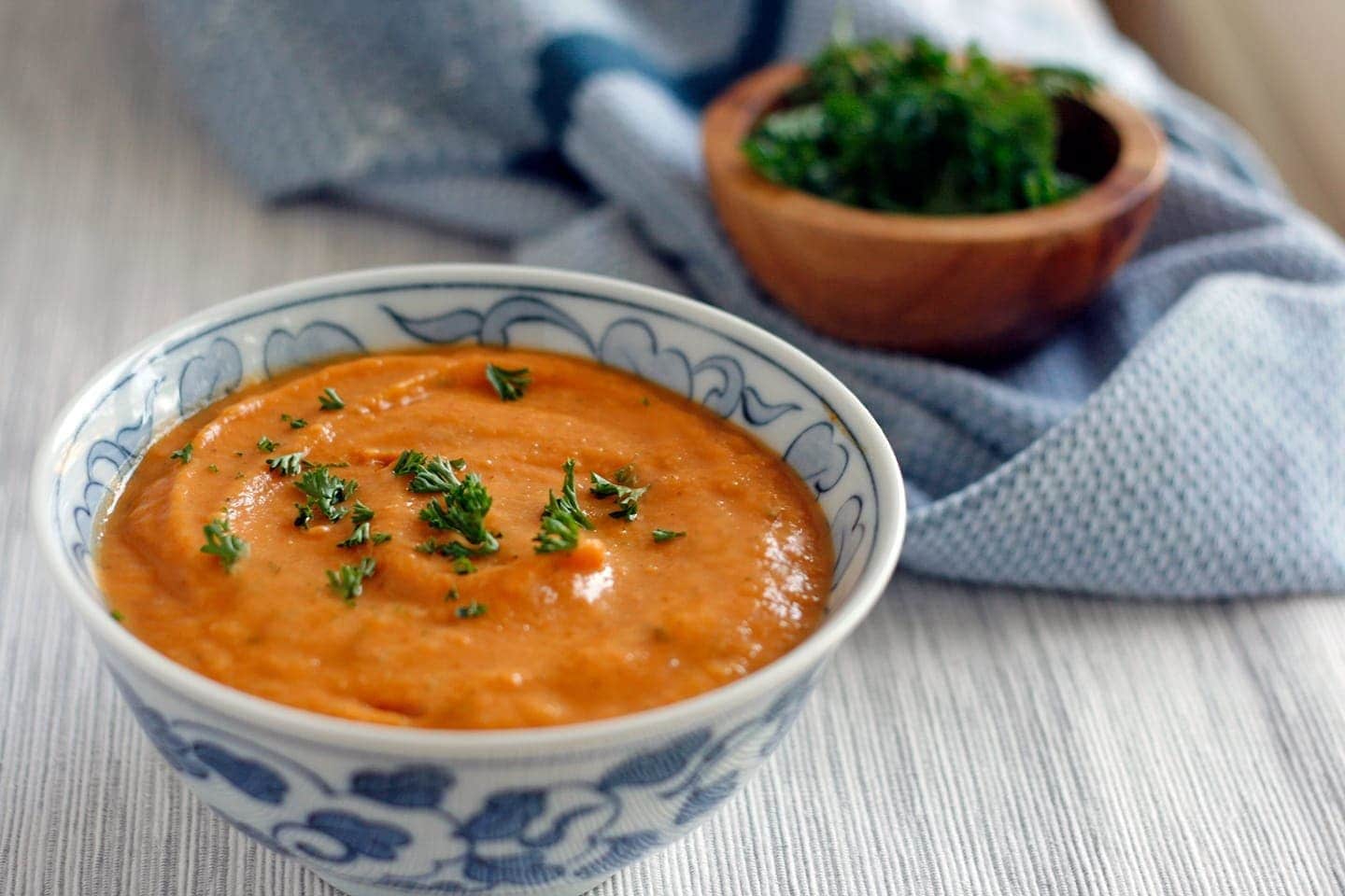 Puree of vegetable soup