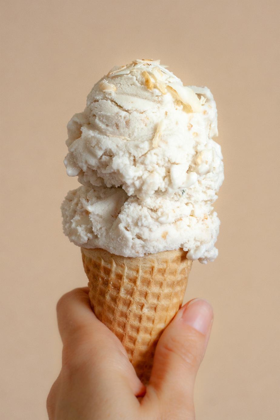 Toasted Coconut Ice Cream